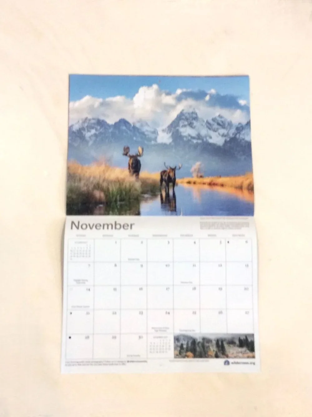 2027 The Wilderness Society 16-Month Wall Calendar Animals/Nature/Photography